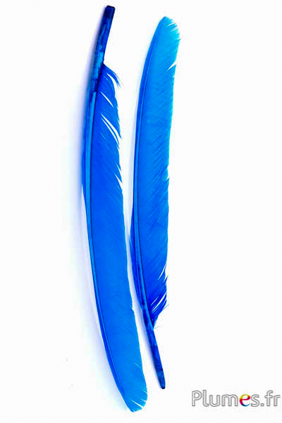 Cygne - 35-40 cm - turquoise